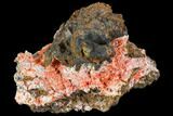 Bright Orange Crocoite Crystal Cluster with Gibbsite - Tasmania #103816-1